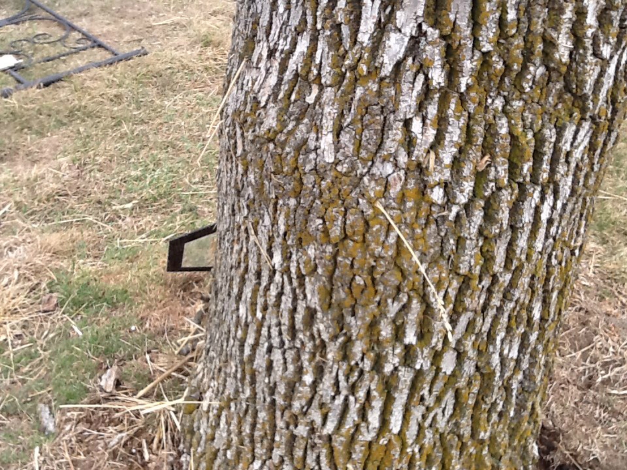 March 27, 2014 Large Hail in Kansas City and Tornadoes in Northern Missouri
